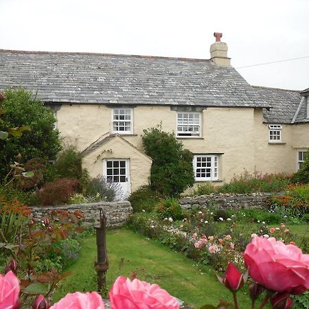 Higher Tresmorn Farm Bed & Breakfast Crackington Haven Bagian luar foto