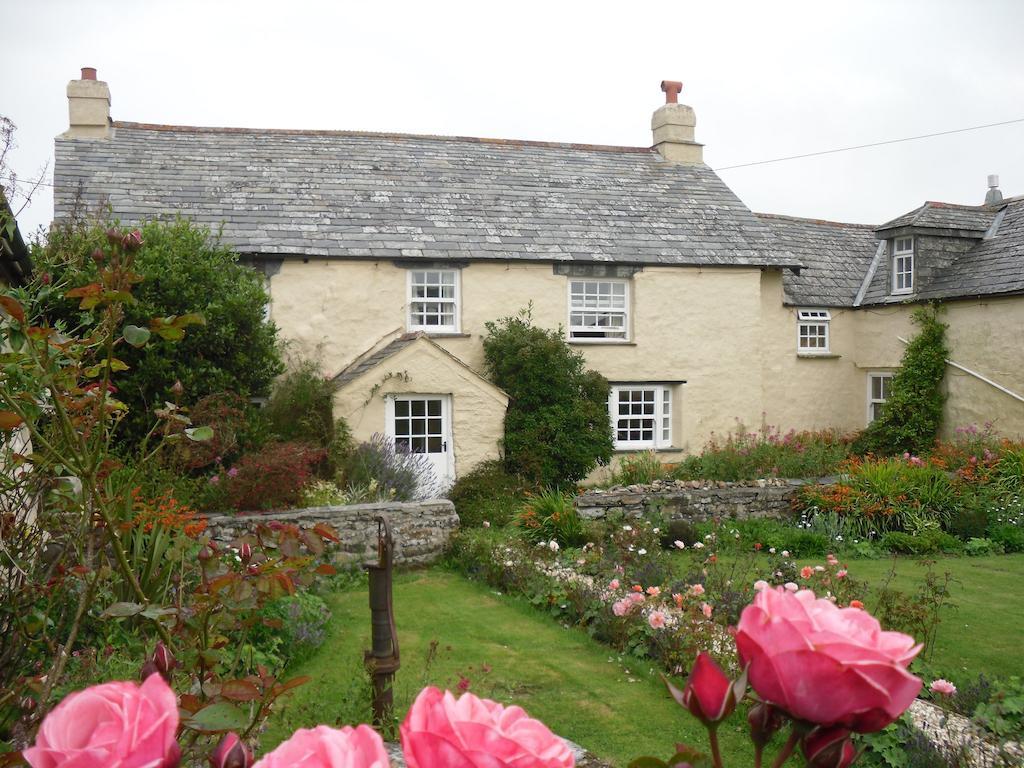 Higher Tresmorn Farm Bed & Breakfast Crackington Haven Bagian luar foto
