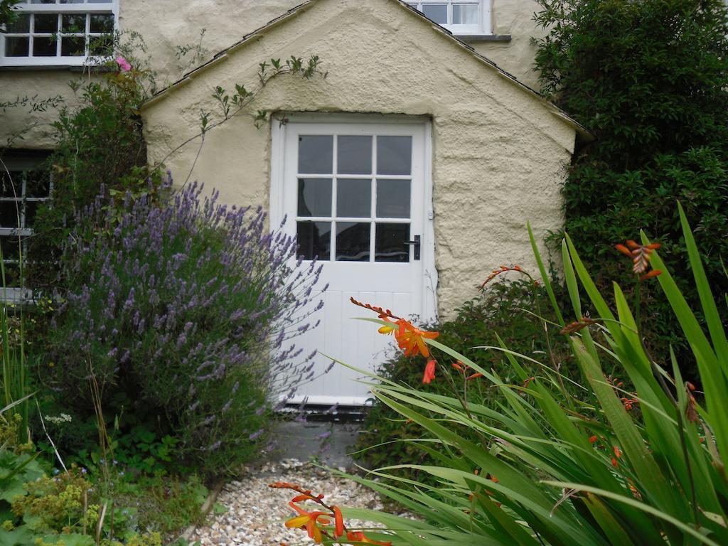 Higher Tresmorn Farm Bed & Breakfast Crackington Haven Bagian luar foto