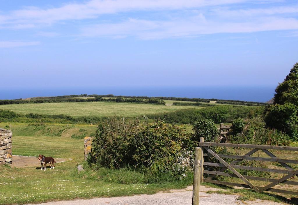 Higher Tresmorn Farm Bed & Breakfast Crackington Haven Bagian luar foto