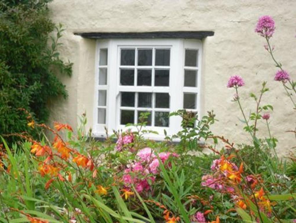 Higher Tresmorn Farm Bed & Breakfast Crackington Haven Bagian luar foto